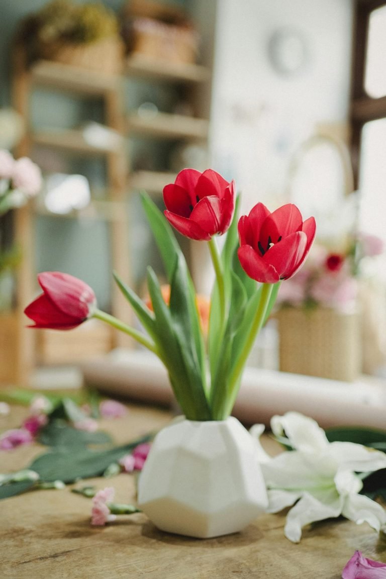 Fresh fragrant red tulip flowers placed in white ceramic vase in modern light floral shop