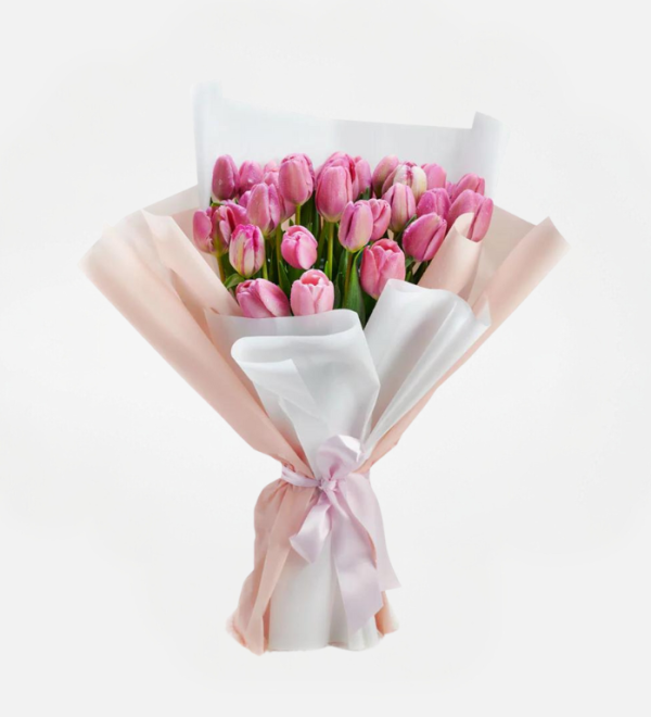 tulipanes de ensueño