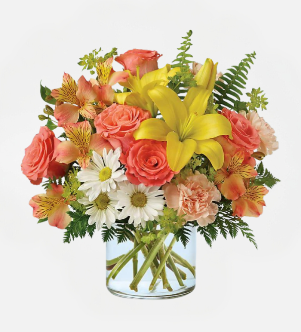 rayo de sol primaveral