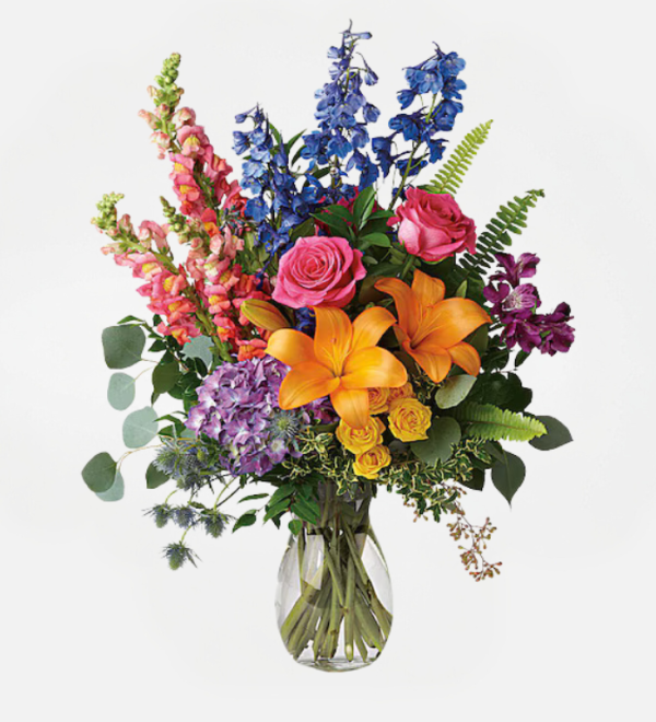 esplendor de colores